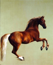 212/stubbs, george - whistlejacket